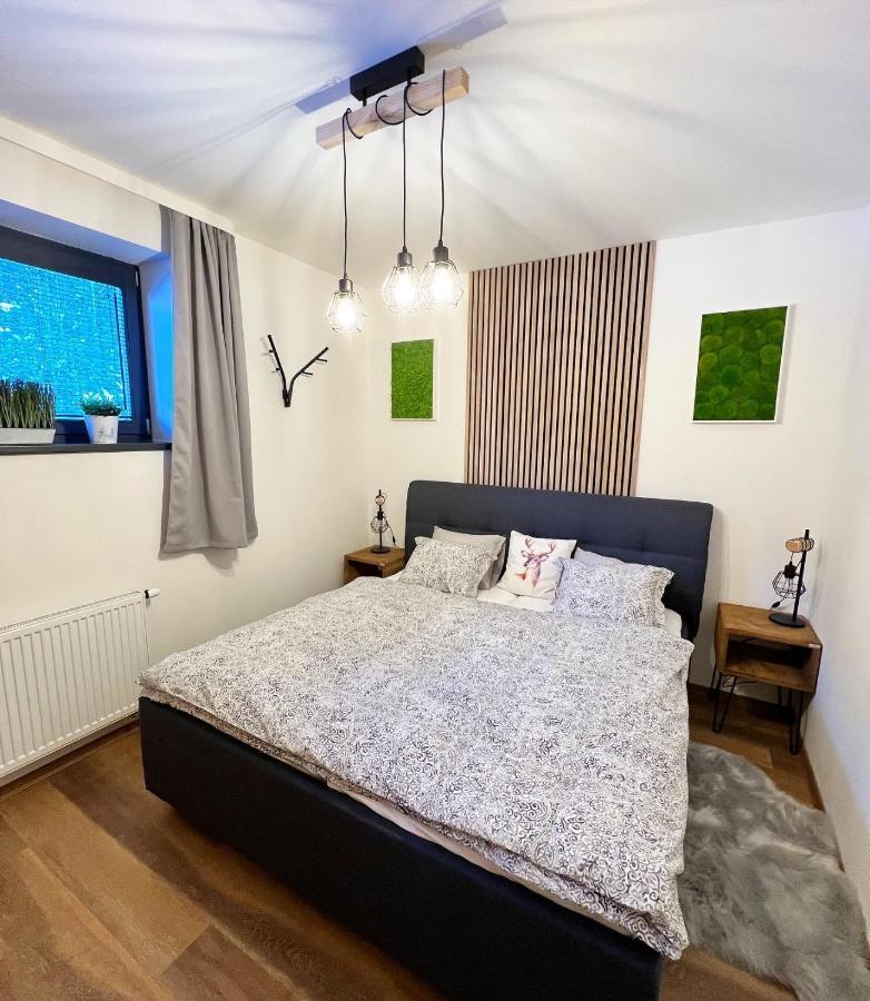 U Jelena Harrachov - Rodinny Apartman U Lesa S Garazi Eksteriør billede