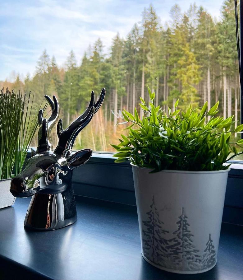 U Jelena Harrachov - Rodinny Apartman U Lesa S Garazi Eksteriør billede